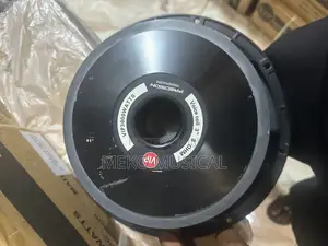 12” Inches Speaker Big Magnet