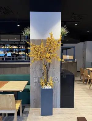 Rectangular Shaped Planter