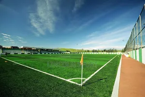 Football Field Construction Synthetic