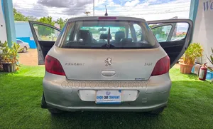 Peugeot 307 2008 Silver