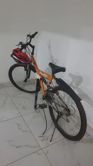 Eastman Adult Bicycle 26" With Gear and Accessories