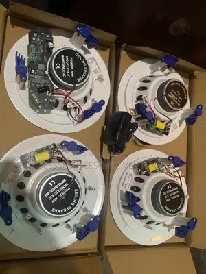 Bluetooth Ceiling Speakers