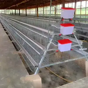 Foreign Hot Galvanized Battery Cage for Layers Birds