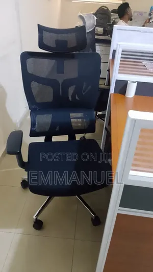 Ergonomic Executive Office Chair