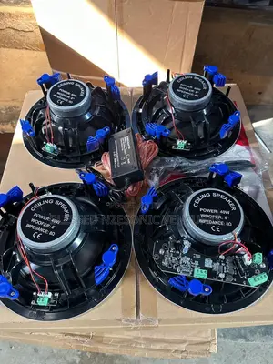 Dart Ceiling Speakers