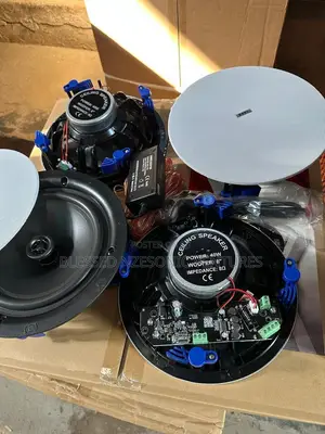 Dart Ceiling Speakers