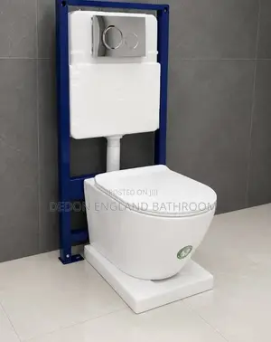 Executive Wall Hung Water Closet