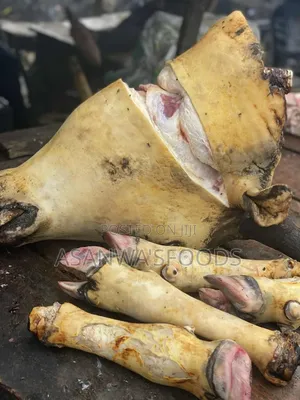 Cow Head and Legs