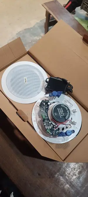 Bluetooth Ceiling Speakers