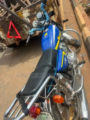 Qlink Pegasus 150 2026 Blue