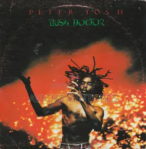 Peter Tosh – Bush Doctor