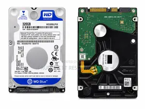 WD Blue 320GB Internal Hard Drive.