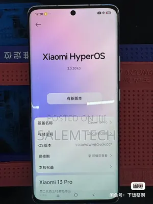 Xiaomi 13 Pro 512 GB Gray