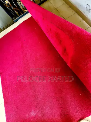 Rug for Home Use
