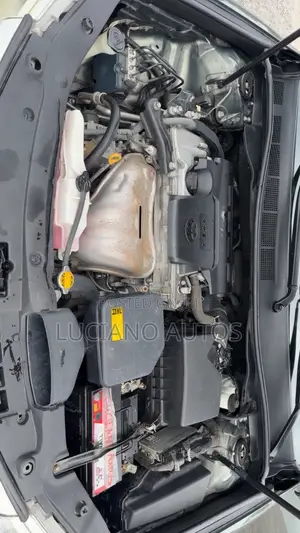 Toyota Camry XLE 4dr Sedan (2.5L 4cyl 6A) 2012 Green