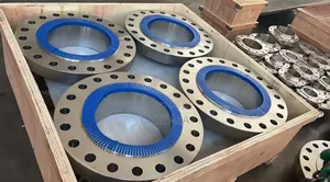 Flange Pipe Line Fittings, Oil Gas