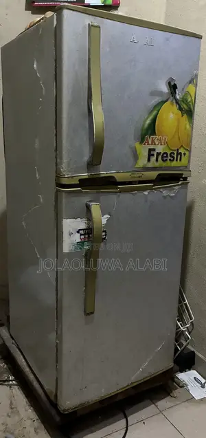 Scanfrost Deep Freezer and Akai Refrigerator