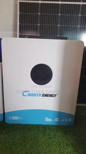 Cworth 24v 4kw Hybrid Inverter 4000w Ce-H4k