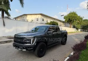 Ford F-150 Platinum 2024 Gray