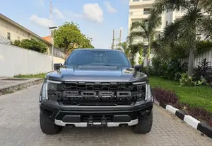 Ford F-150 Platinum 2024 Gray
