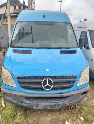 Mercedes-Benz Sprinter 2010 Blue