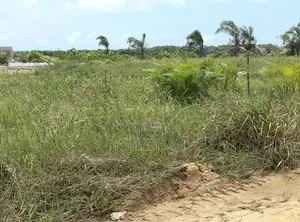 600 Square Meter Dry Land in Bogije