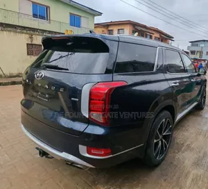 Hyundai Palisade 2020 Blue