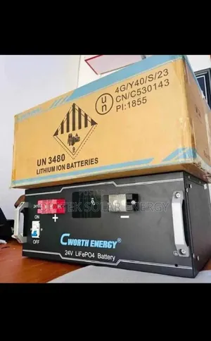 C Worth Lithium Battery 2.5kwh 24v