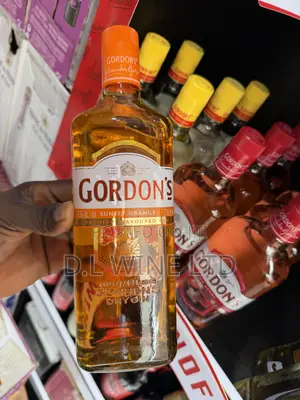 GORDON’s Sun Set Orange Carton of 12 Bottles