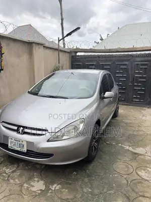 Peugeot 307 2005 Gray