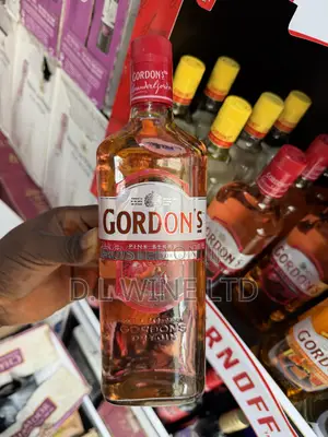 GORDON’s Pink Berry Cartoon of 12 Bottles