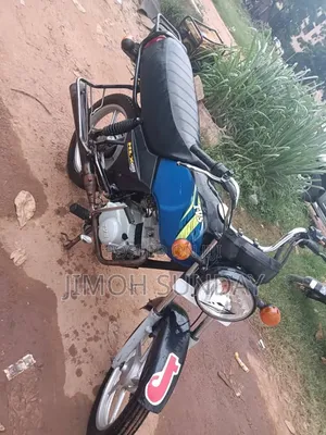 TVS HLX Plus ES 2024 Blue