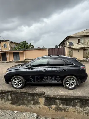 Lexus RX 2010 Blue
