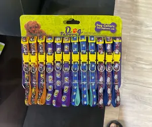 Dog Favour Puppy Collar 1.0cm