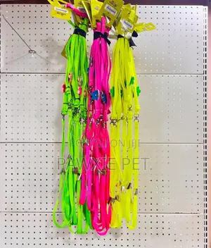 COLLAR N LEAD Dog Favour Flower Collar N Lead With Adjustable Stopper