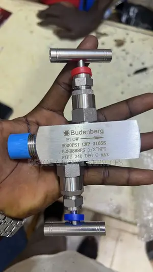 Budenberg Needle Valve 62NR8M8FS | 316SS | 6000 PSI | 1/2" NPT |