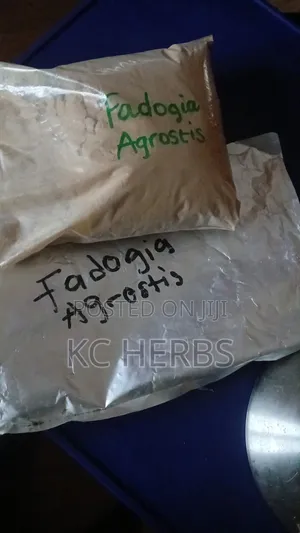 Fadogia Agrestis Extract 100g