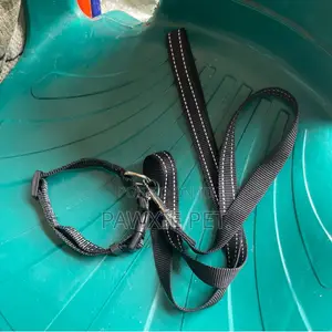 Reflective Lead and Collar 2.0*120cm(m)