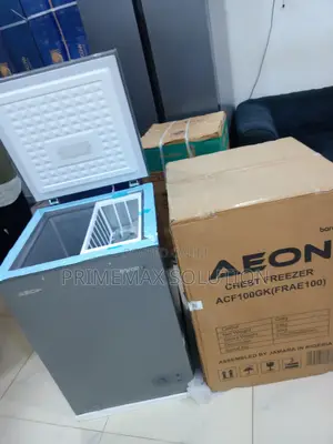 AEON 100L Chest Freezer – Perfect for Bulk Meat Veggies