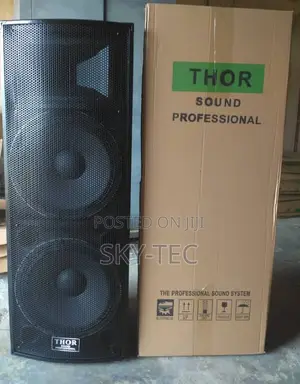 Original Thor Double 15inches Speaker 1500w Big Magnet With Crossover