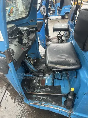 Tricycle 2024 Blue