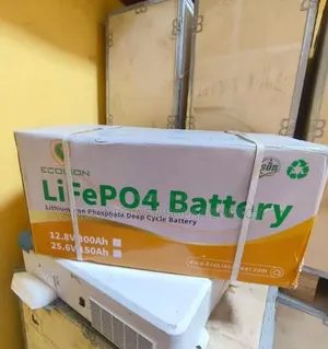 4.7kwh/24v Ecolion Lithium-Iron Battery
