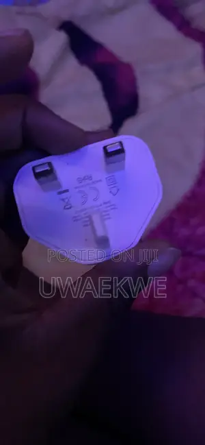 iPhone Charger