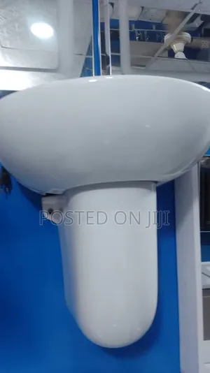 Suspended Wash Hand Basin and Pedestal