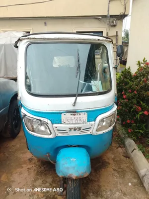 Tricycle 2024 Blue