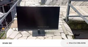 HP P244 Frameless Monitor