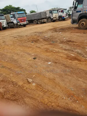 Dangote Cement Distributor