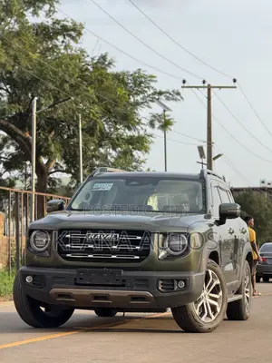 Haval Big Dog 2022 Gray