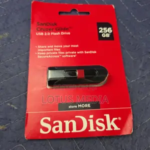 SanDisk 256GB Flash Drive