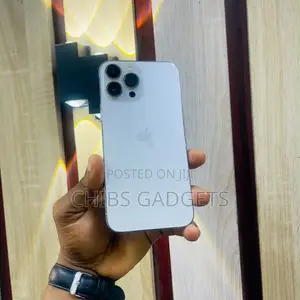 Apple iPhone 13 Pro Max 256 GB Gray